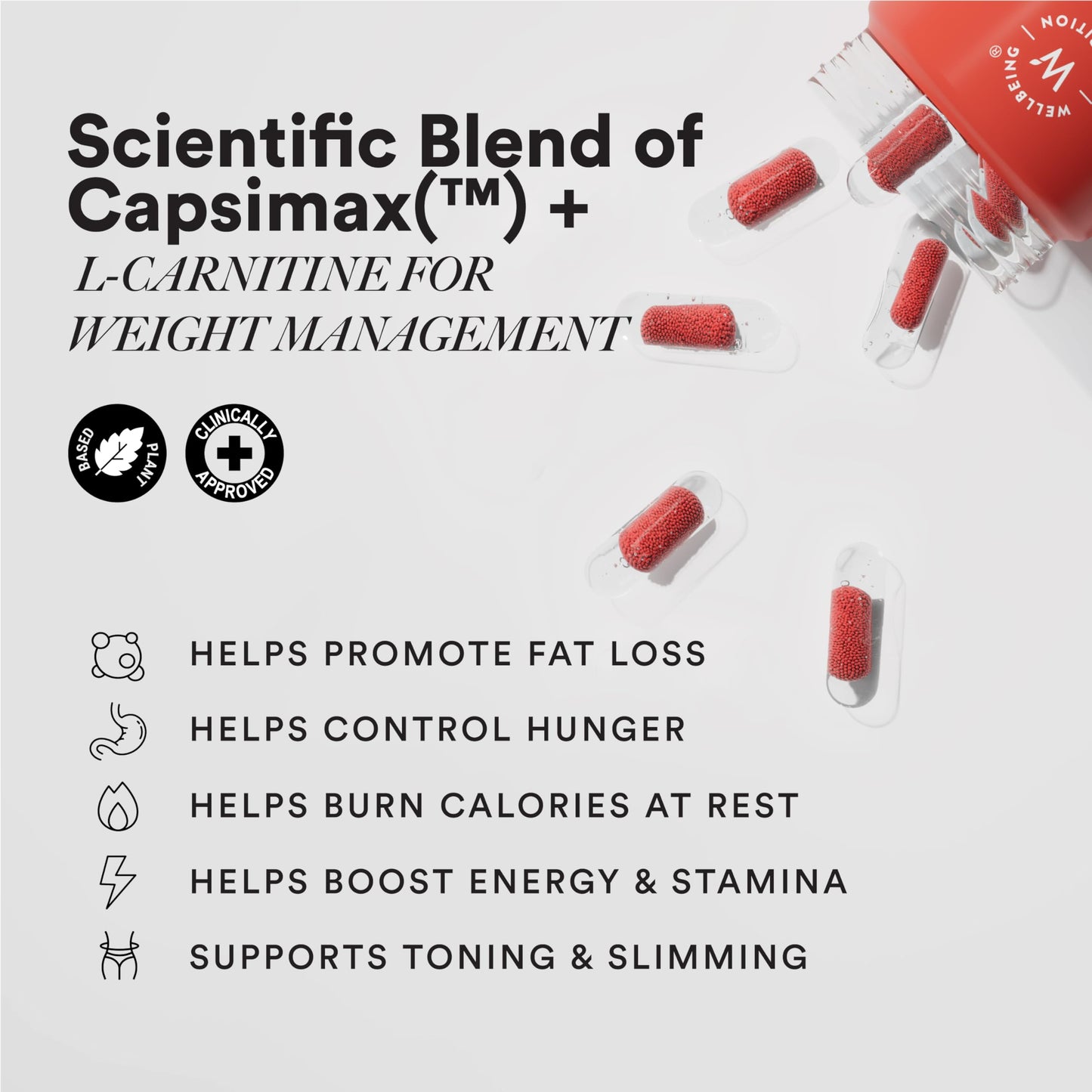 Wellbeing Nutrition SLOW Burn | Green Tea, Green Coffee, L-Carnitine & Plant Ingredient Blend | Mint Flavoured Granules-in-Liquid Capsules