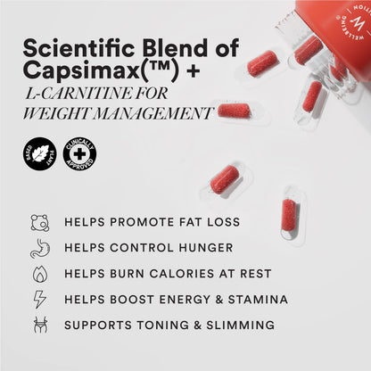 Wellbeing Nutrition SLOW Burn | Green Tea, Green Coffee, L-Carnitine & Plant Ingredient Blend | Mint Flavoured Granules-in-Liquid Capsules